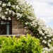 Brambles with balcony and private hot tub